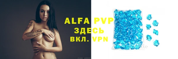 сатива Переславль-Залесский
