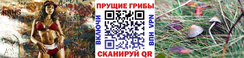 Галлюциногенные грибы Cubensis наркошоп Похвистнево
