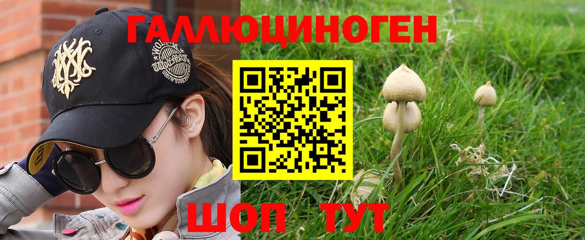 Похвистнево  Псилоцибиновые грибы GOLDEN TEACHER  Вход с VPN 