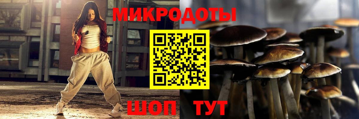 Псилоцибиновые грибы мицелий Похвистнево